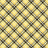 Sweet as Honey 2 Collection Welcome Plaid 12 x 12 Double-Sided Scrapbook Paper by Photo Play Paper