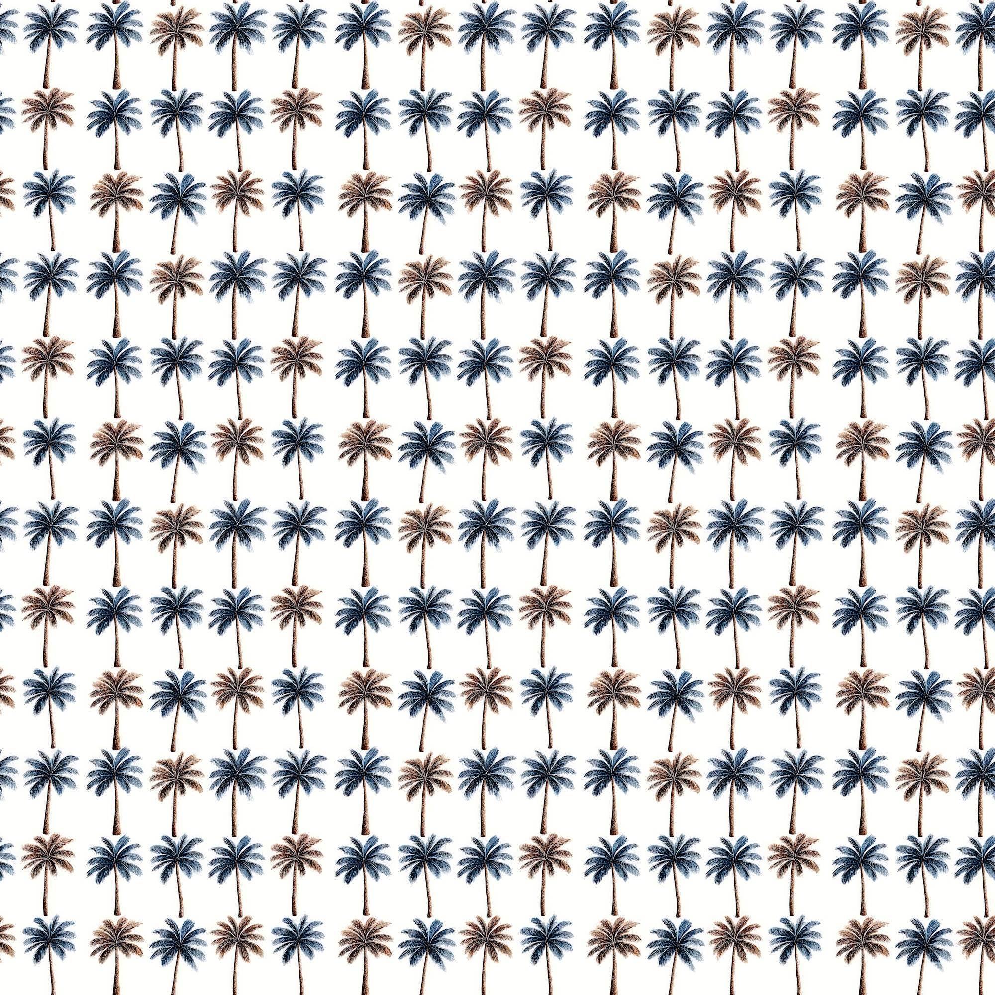 Saltwater Shores Collection Nautical Charm 12 x 12 Double-Sided Scrapbook Paper by SSC Designs