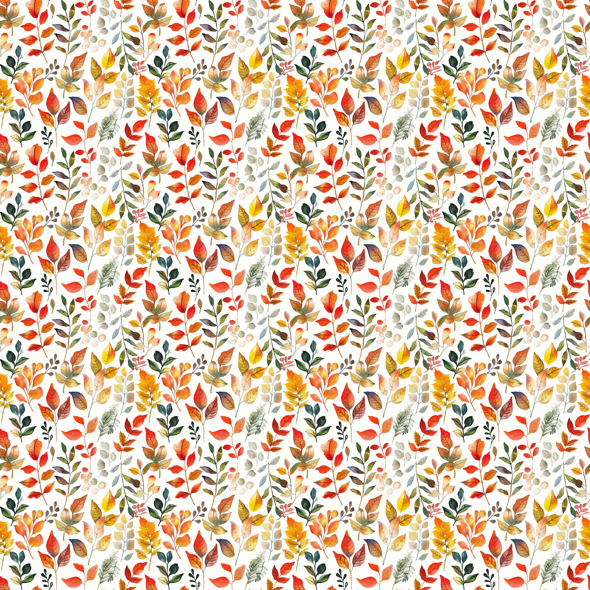 Fall Blessings Collection Fall Gourds 12 x 12 Double-Sided Scrapbook Paper by SSC Designs