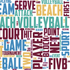 Sports Beat Collection Volleyball Heartbeat 12 x 12 Double-Sided Scrapbook Paper by SSC Designs
