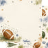 Sports Collection Football 12 x 12 Double-Sided Scrapbook Paper by SSC Designs