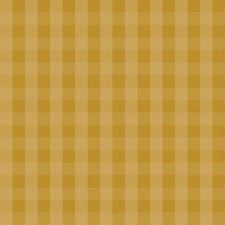 Scenic Route Collection 3x4 Journaling Cards 12 x 12 Double-Sided Scrapbook Paper by Echo Park Paper