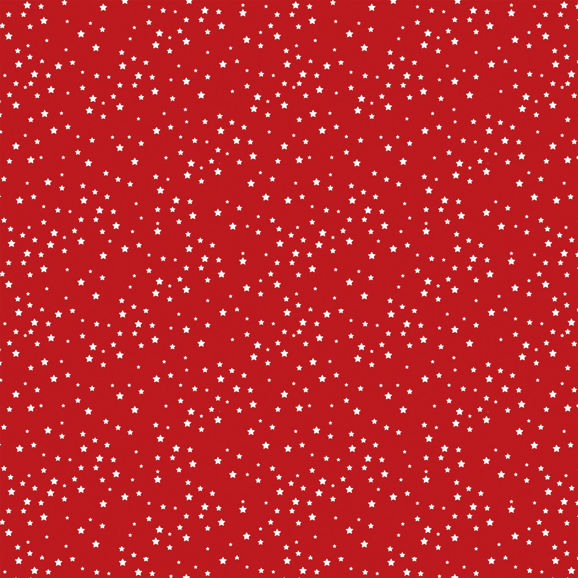 Stars and Stripes Forever Collection Flowers For The Fourth 12 x 12 Double-Sided Scrapbook Paper by Echo Park Paper