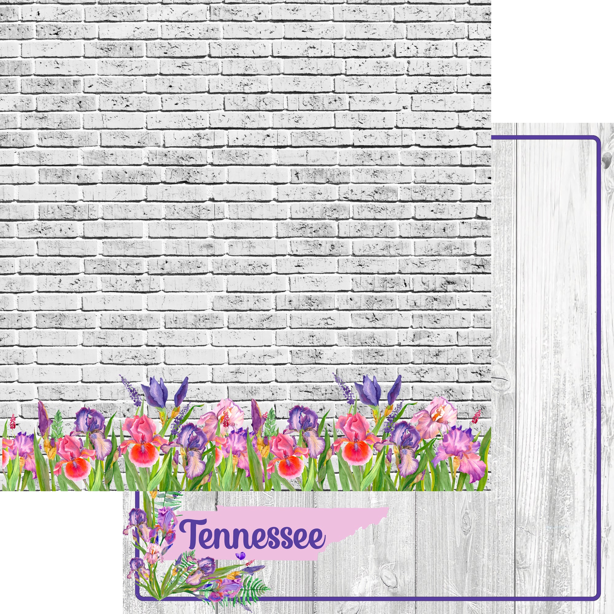 State Flower Collection Tennessee 12 x 12 Double-Sided Scrapbook Paper by SSC Designs