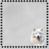 Dog Breeds Collection Samoyed 12 x 12 Double-Sided Scrapbook Paper by SSC Designs