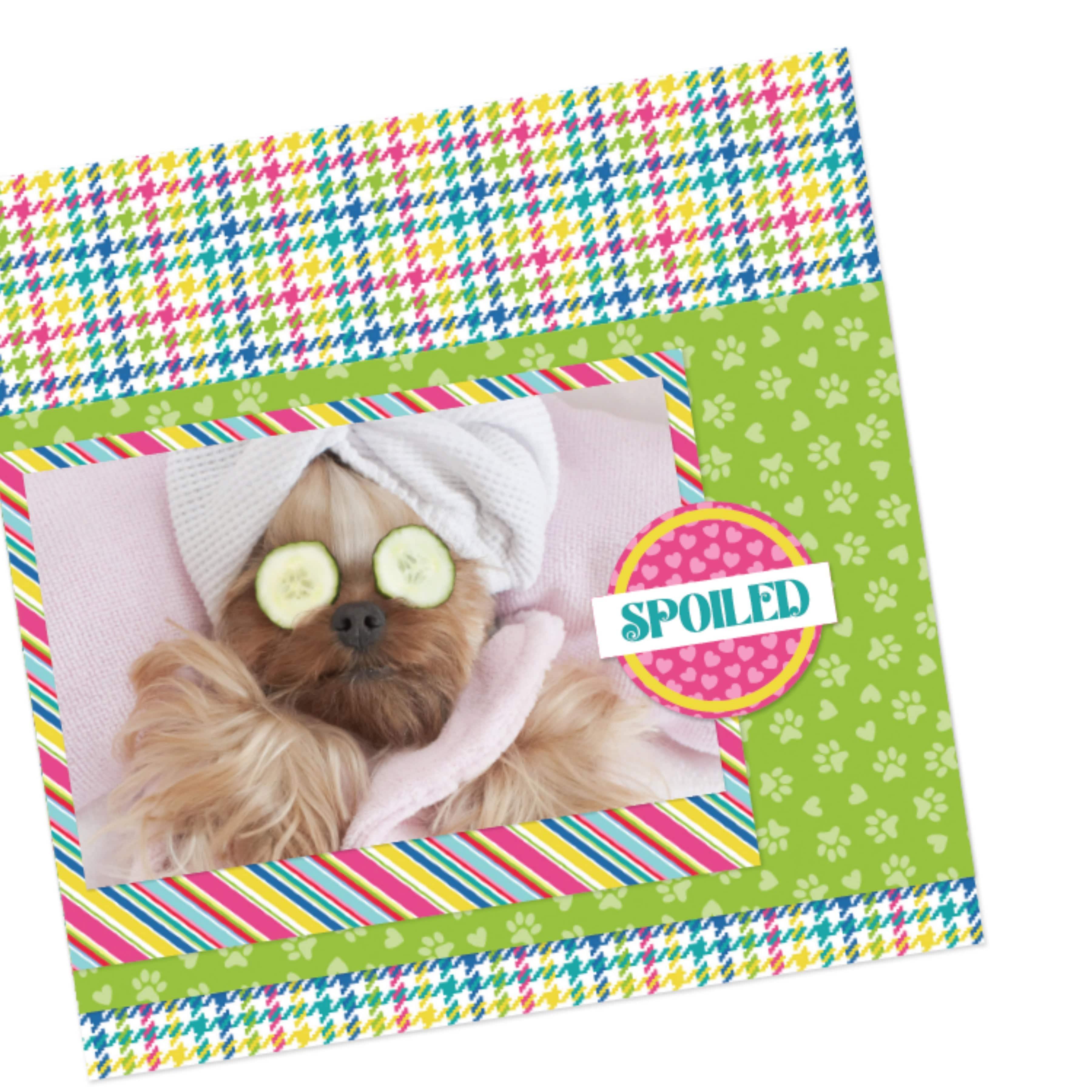 Pampered Pooch Collection Living Large 12 x 12 Double-Sided Scrapbook Paper by Photo Play Paper - Scrapbook Supply Companies