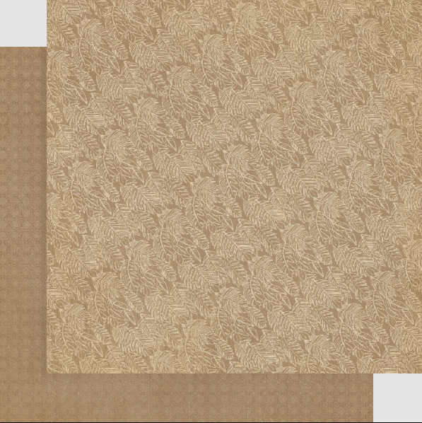 Wild & Free Collection 12 x 12 Patterns & Solids Scrapbook Paper Pack by Graphic 45