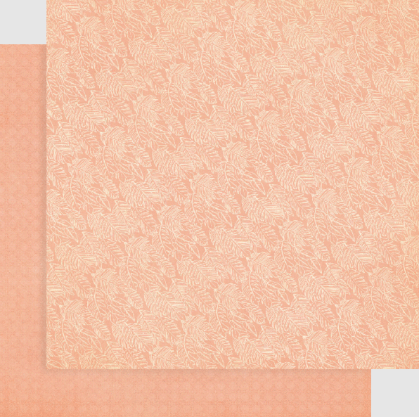 Wild & Free Collection 12 x 12 Patterns & Solids Scrapbook Paper Pack by Graphic 45