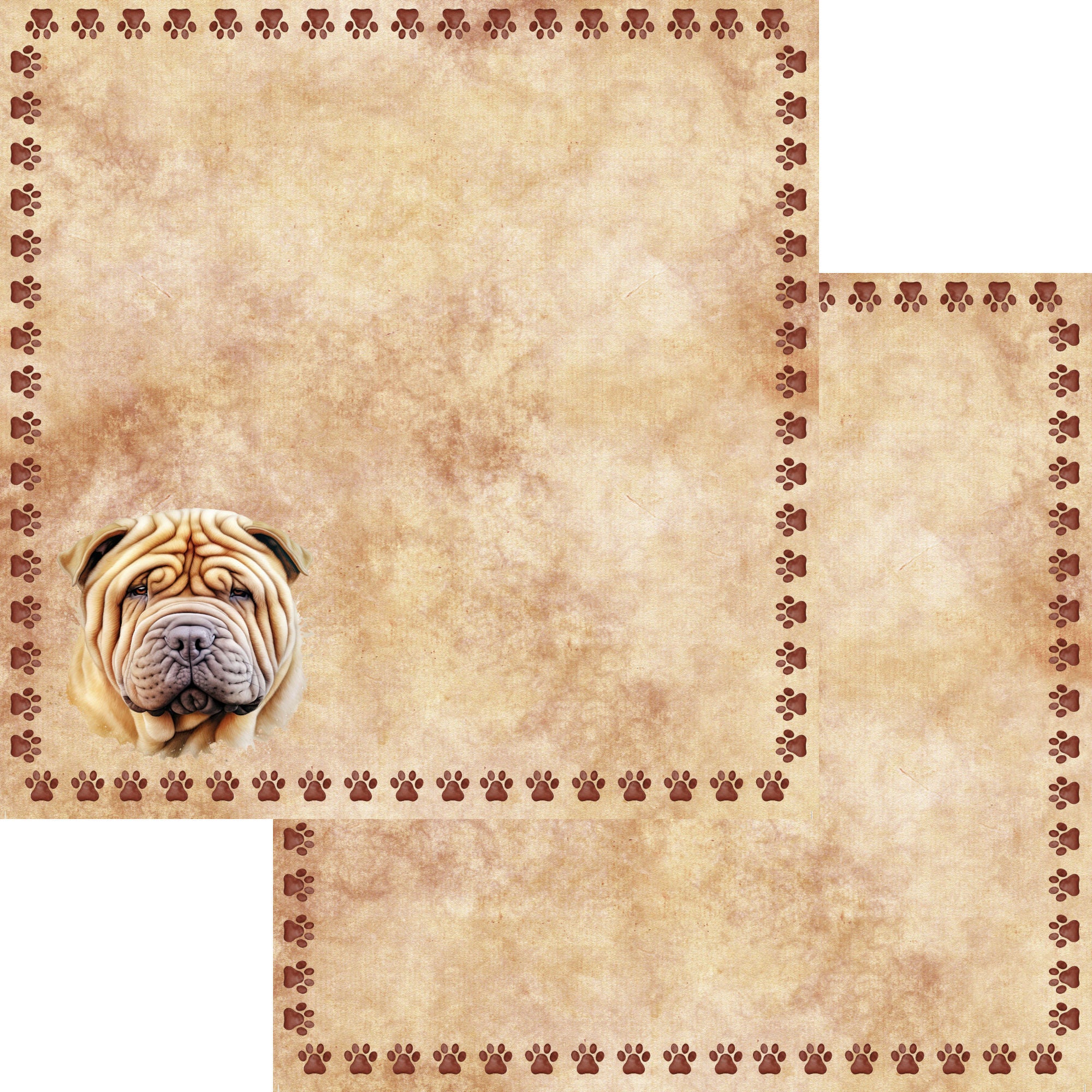 Dog Breeds Collection Shar Pei 12 x 12 Double-Sided Scrapbook Paper by SSC Designs