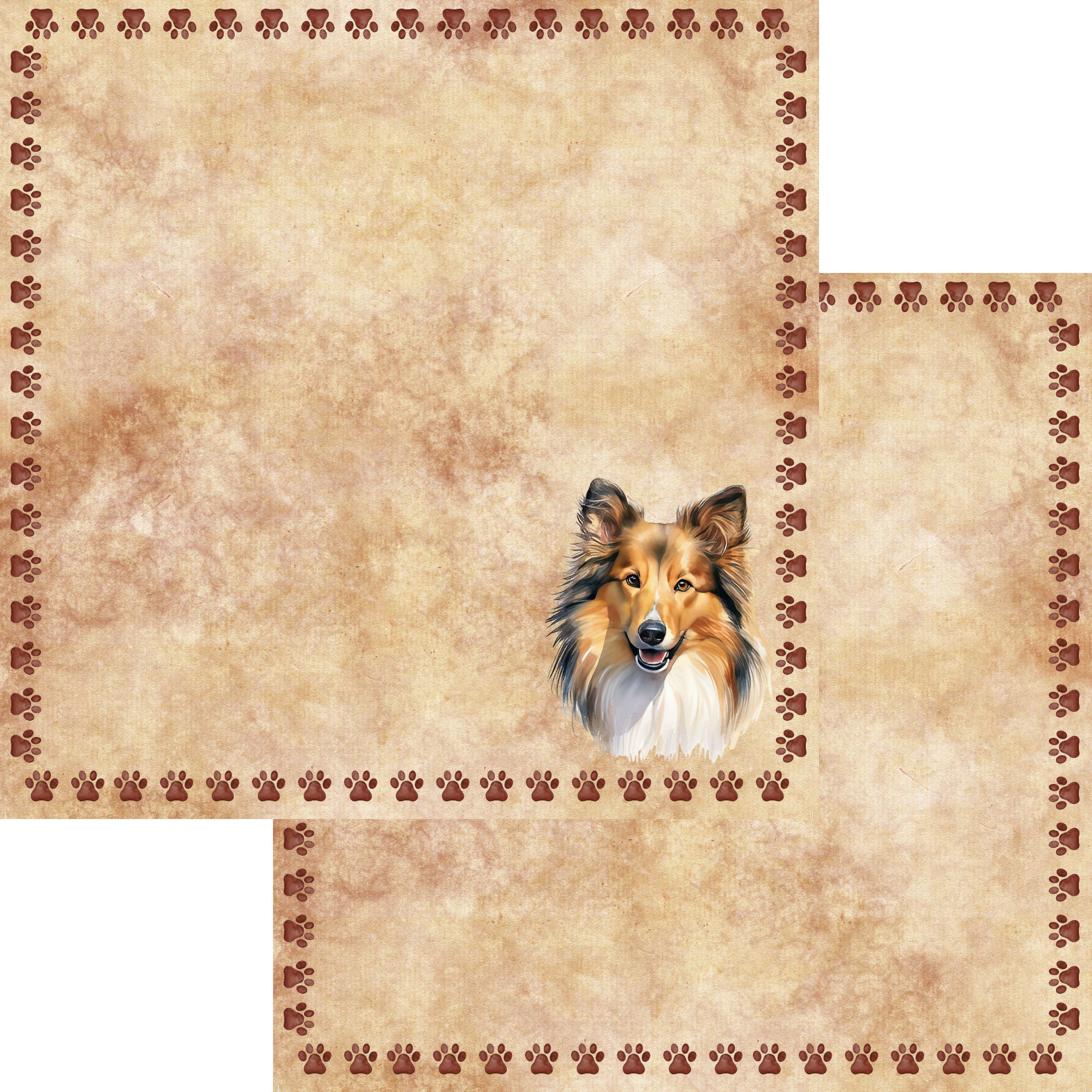 Dog Breeds Collection Sheltie 12 x 12 Double-Sided Scrapbook Paper by SSC Designs