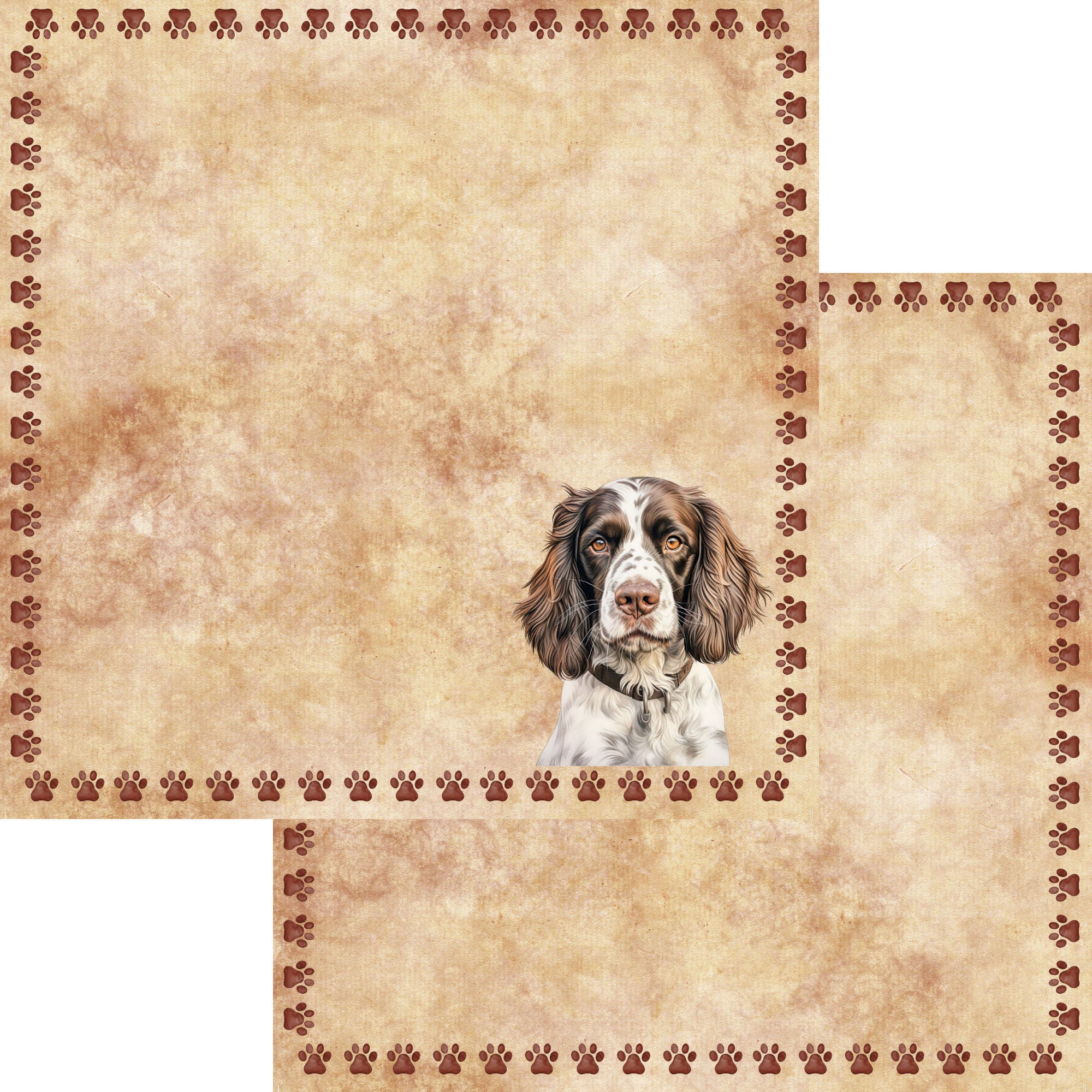 Dog Breeds Collection Springer Spaniel 12 x 12 Double-Sided Scrapbook Paper by SSC Designs