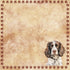 Dog Breeds Collection Springer Spaniel 12 x 12 Double-Sided Scrapbook Paper by SSC Designs