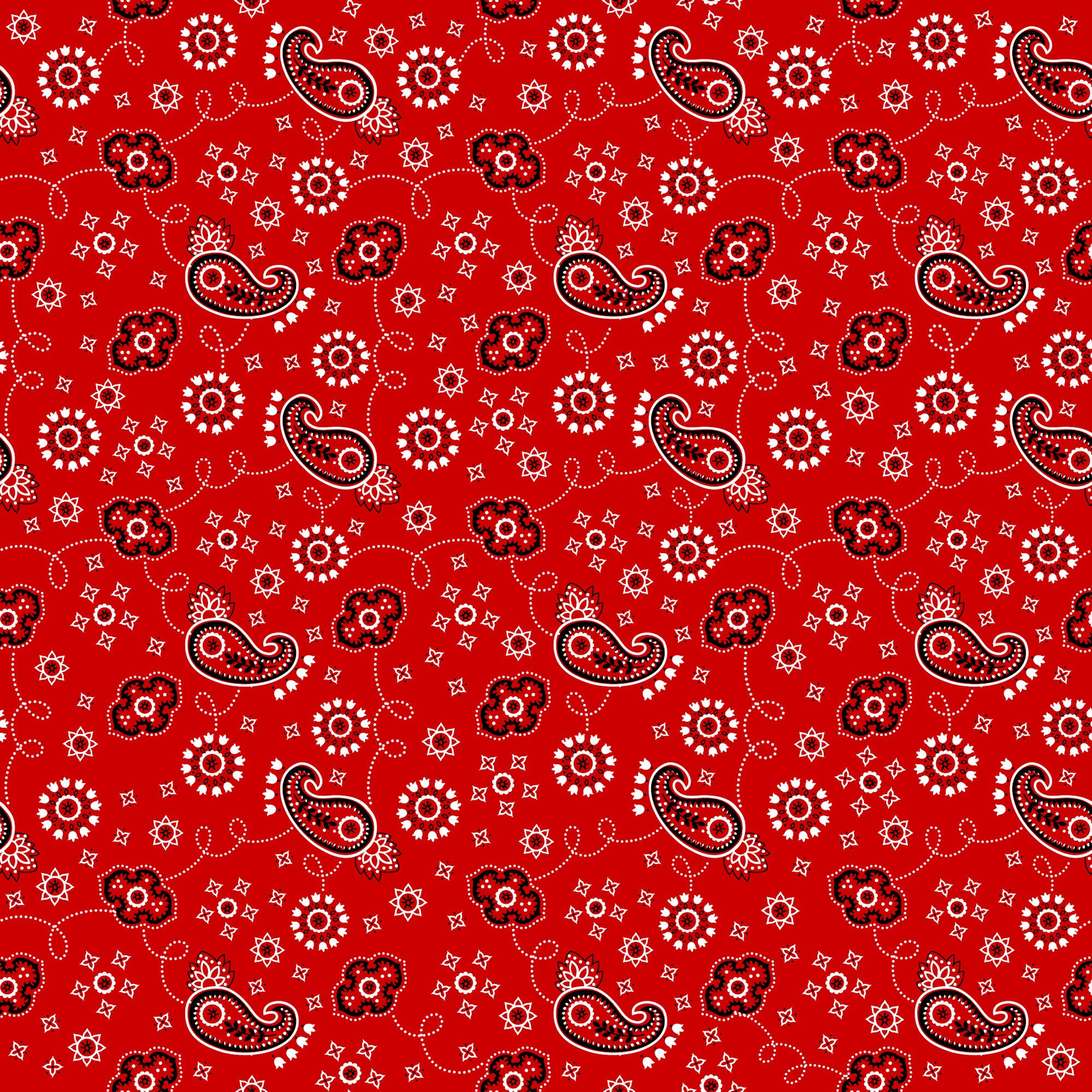 Toy Box Collection Cowboy 12 x 12 Double-Sided Scrapbook Paper by SSC Designs