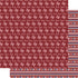 Texas Collection Texas State 12 x 12 Double-Sided Scrapbook Paper by SSC Designs