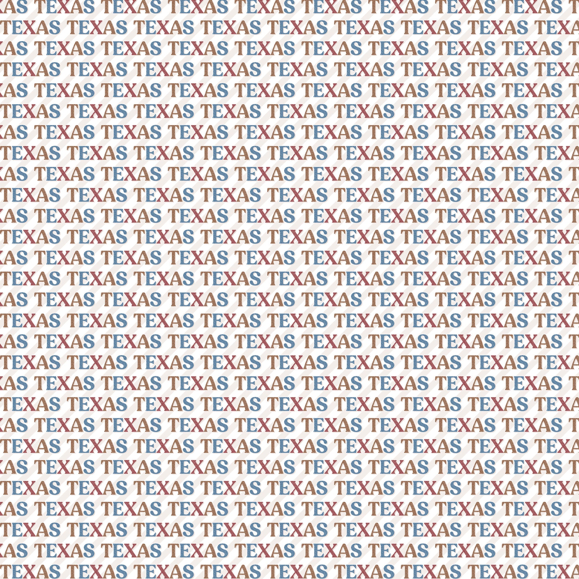 Texas Collection Texas Cities 12 x 12 Double-Sided Scrapbook Paper by SSC Designs
