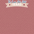 Texas Collection The Lone Star State 12 x 12 Double-Sided Scrapbook Paper by SSC Designs