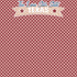 Texas Collection The Lone Star State 12 x 12 Double-Sided Scrapbook Paper by SSC Designs