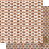 Texas 12 x 12 Scrapbook Paper & Embellishment Kit by SSC Designs