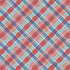 Texas Collection Texas Threads 12 x 12 Double-Sided Scrapbook Paper by SSC Designs