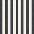 The Graduate Collection Graduate Party 12x12 Double-Sided Scrapbook Paper by Photo Play Paper