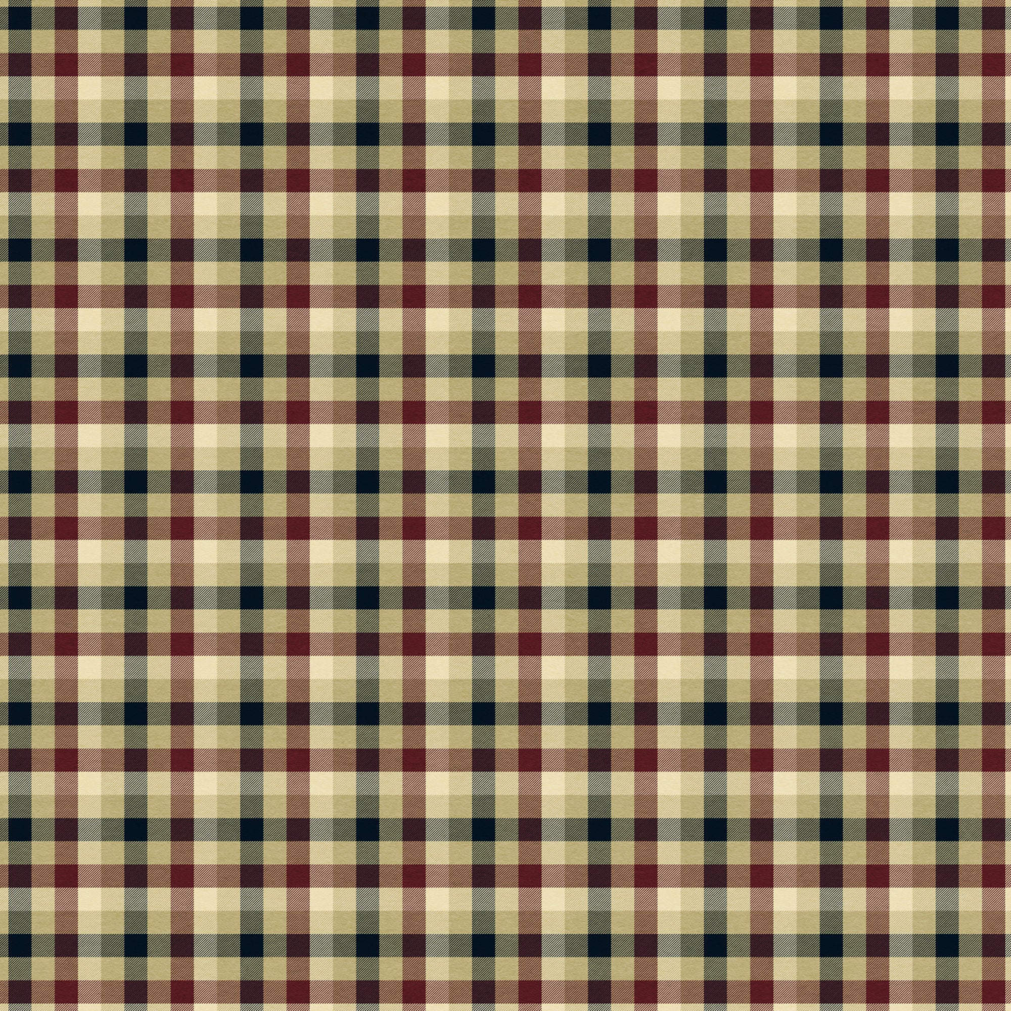 Through The Stones Collection Thistle And Plaid 12 x 12 Double-Sided Scrapbook Paper by SSC Designs