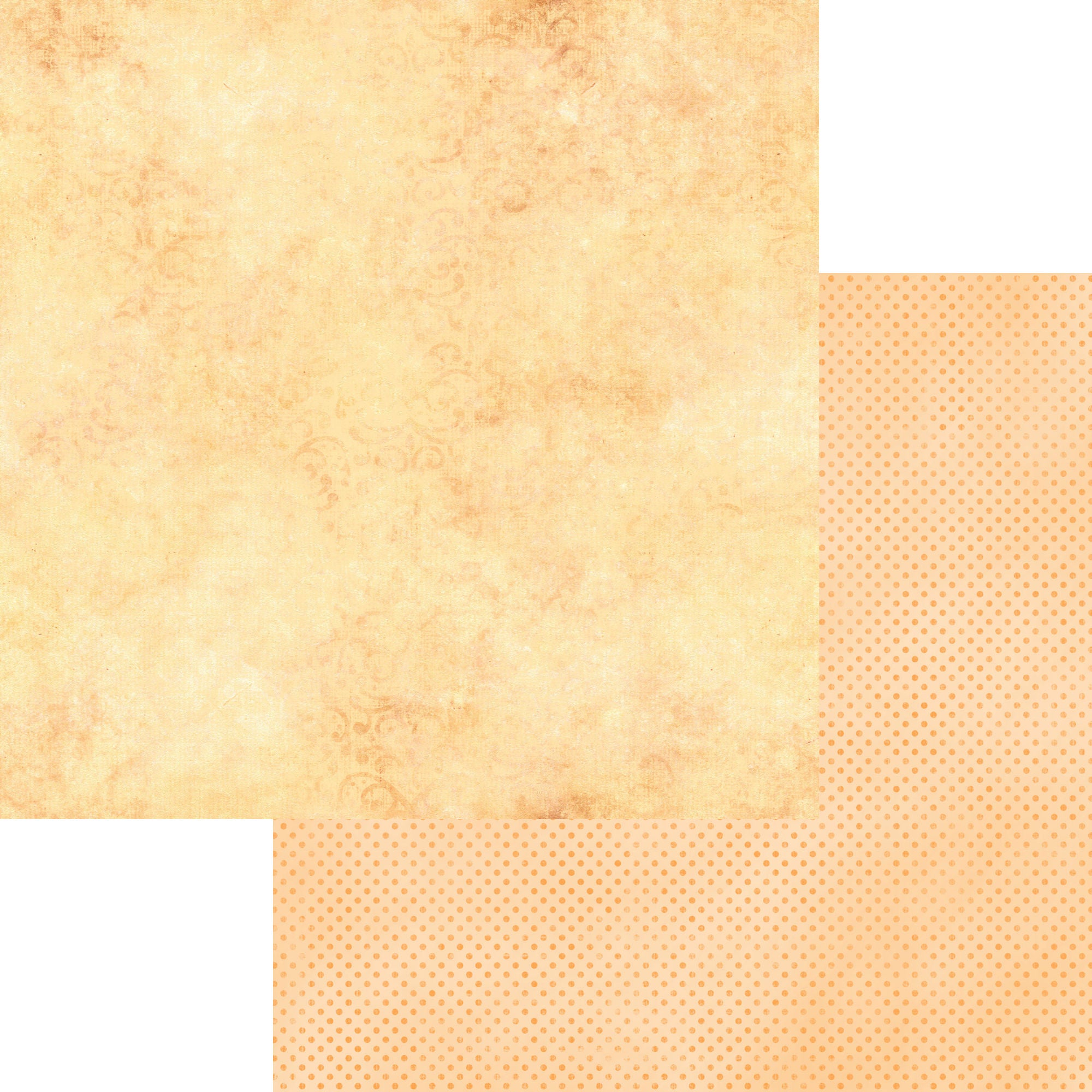 Tropical Collection Sunshine 12 x 12 Double-Sided Scrapbook Paper by SSC Designs
