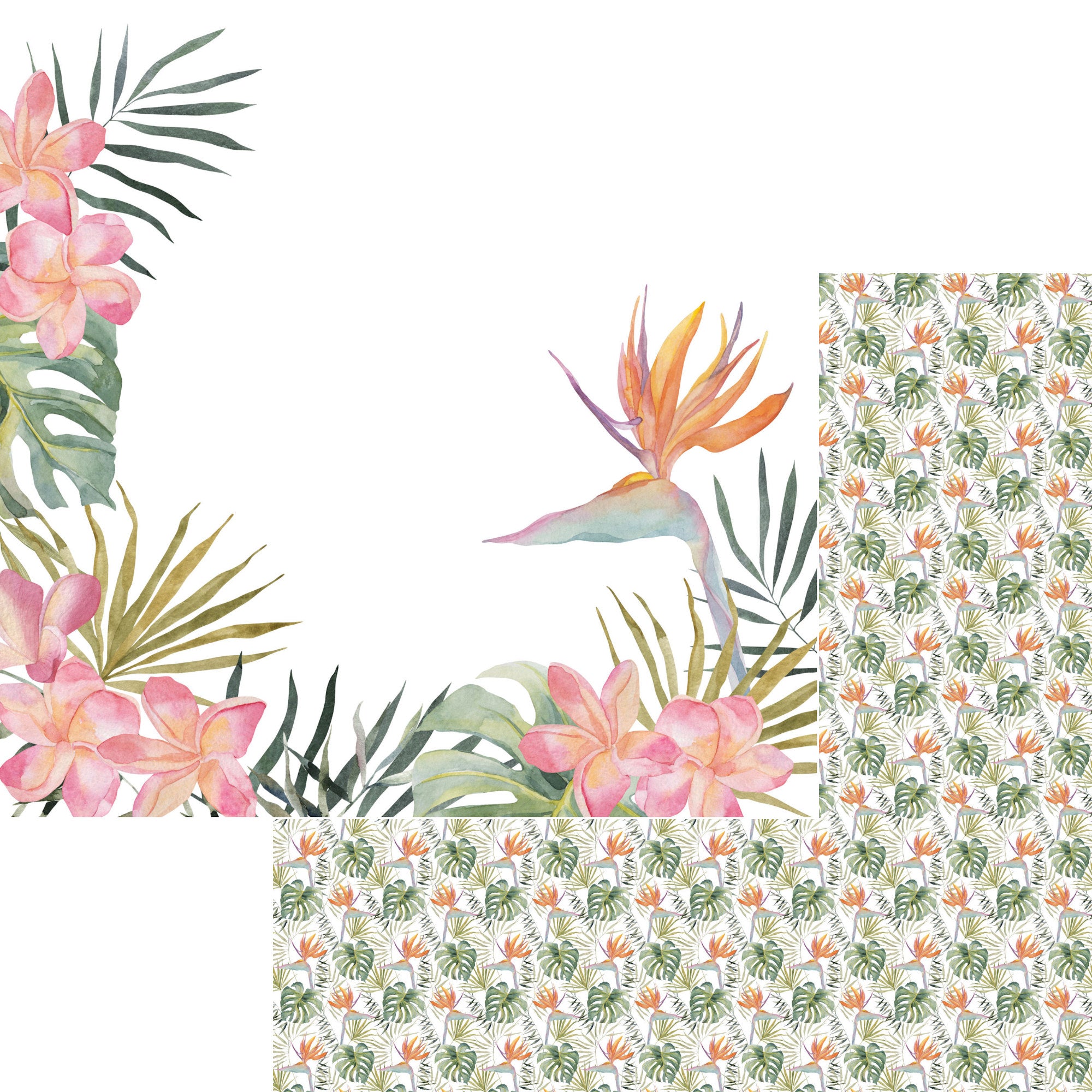 Tropical Paradise Collection Exquisite 12 x 12 Double-Sided Scrapbook Paper by SSC Designs