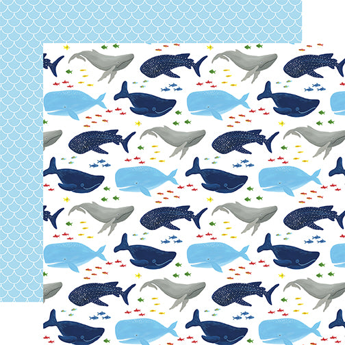Under Sea Adventures Collection Whale Hello 12 x 12 Double-Sided Scrapbook Paper by Echo Park Paper