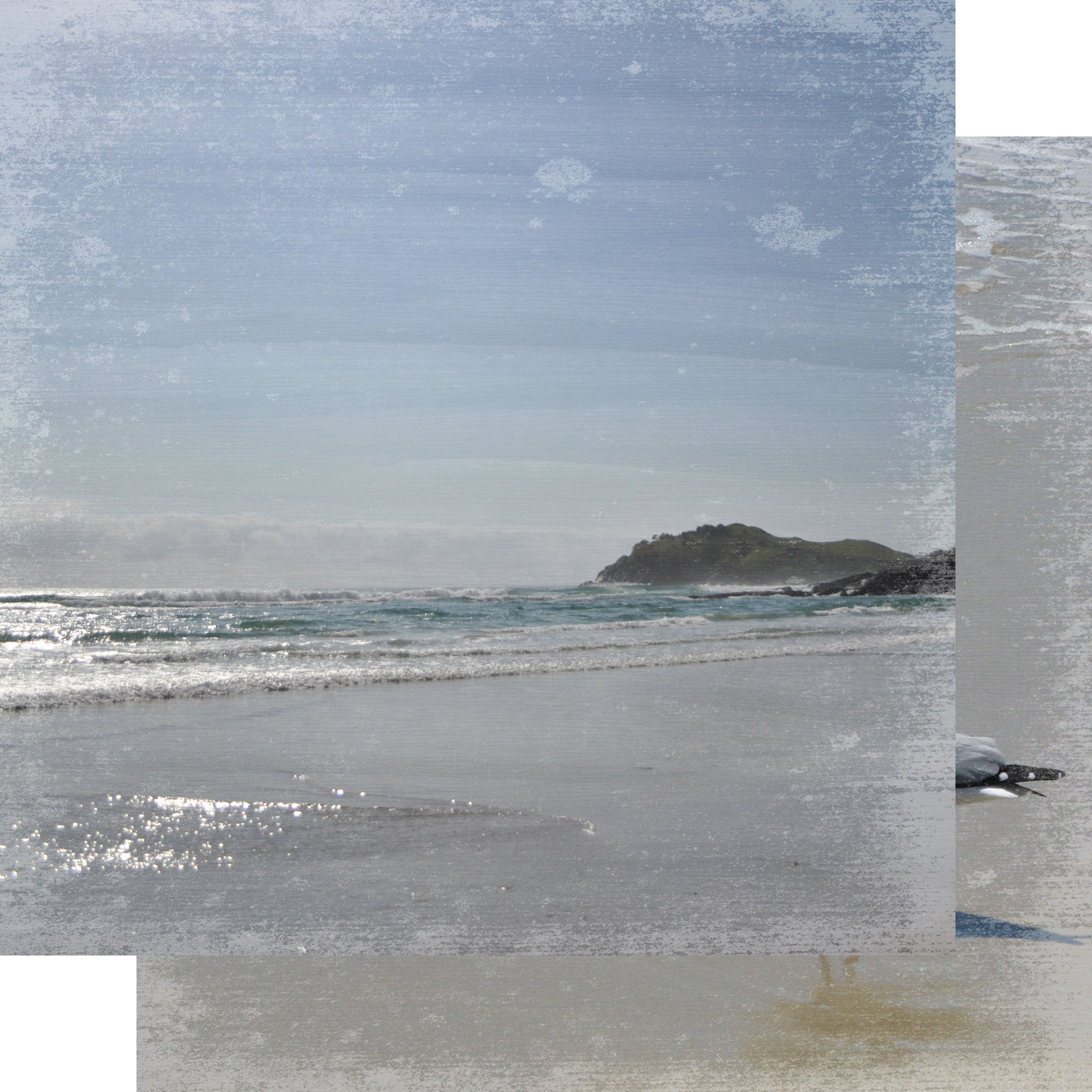 Under The Boardwalk Collection Vitamin Sea 12 x 12 Double-Sided Scrapbook Paper by SSC Designs