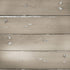 Under The Boardwalk Collection Boardwalk Memories 12 x 12 Double-Sided Scrapbook Paper by SSC Designs