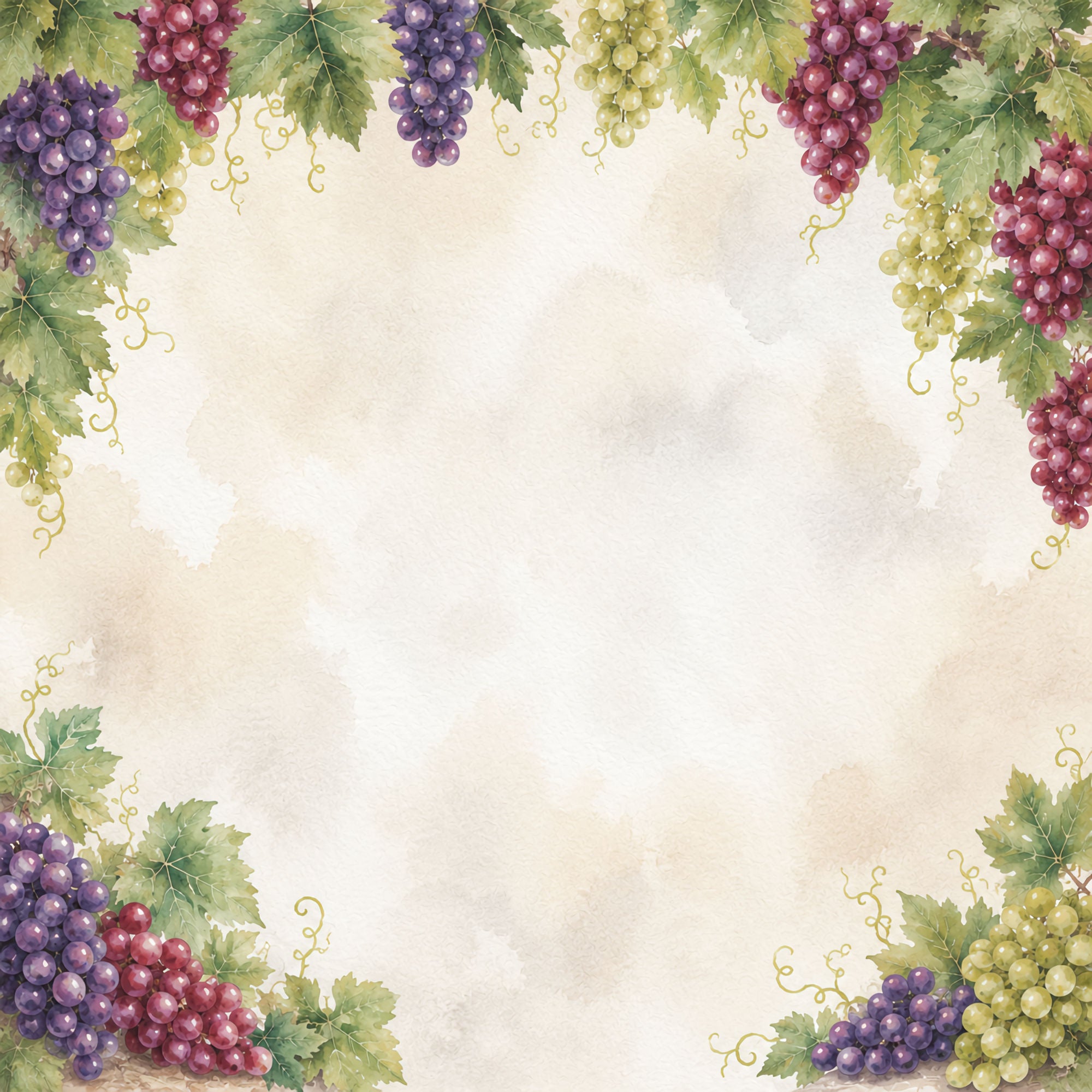 Vineyard Collection Vineyard 12 x 12 Double-Sided Scrapbook Paper by SSC Designs