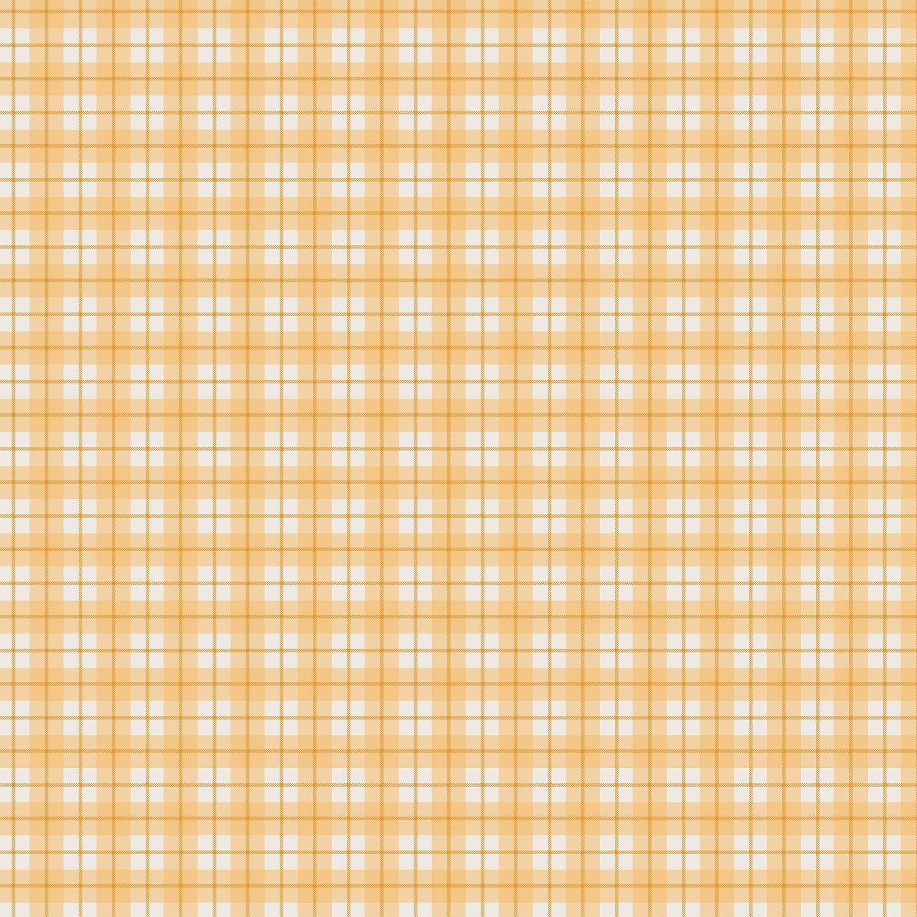Wizards & Company Collection Let's Fly Away 12 x 12 Double-Sided Scrapbook Paper by Echo Park Paper - Scrapbook Supply Companies