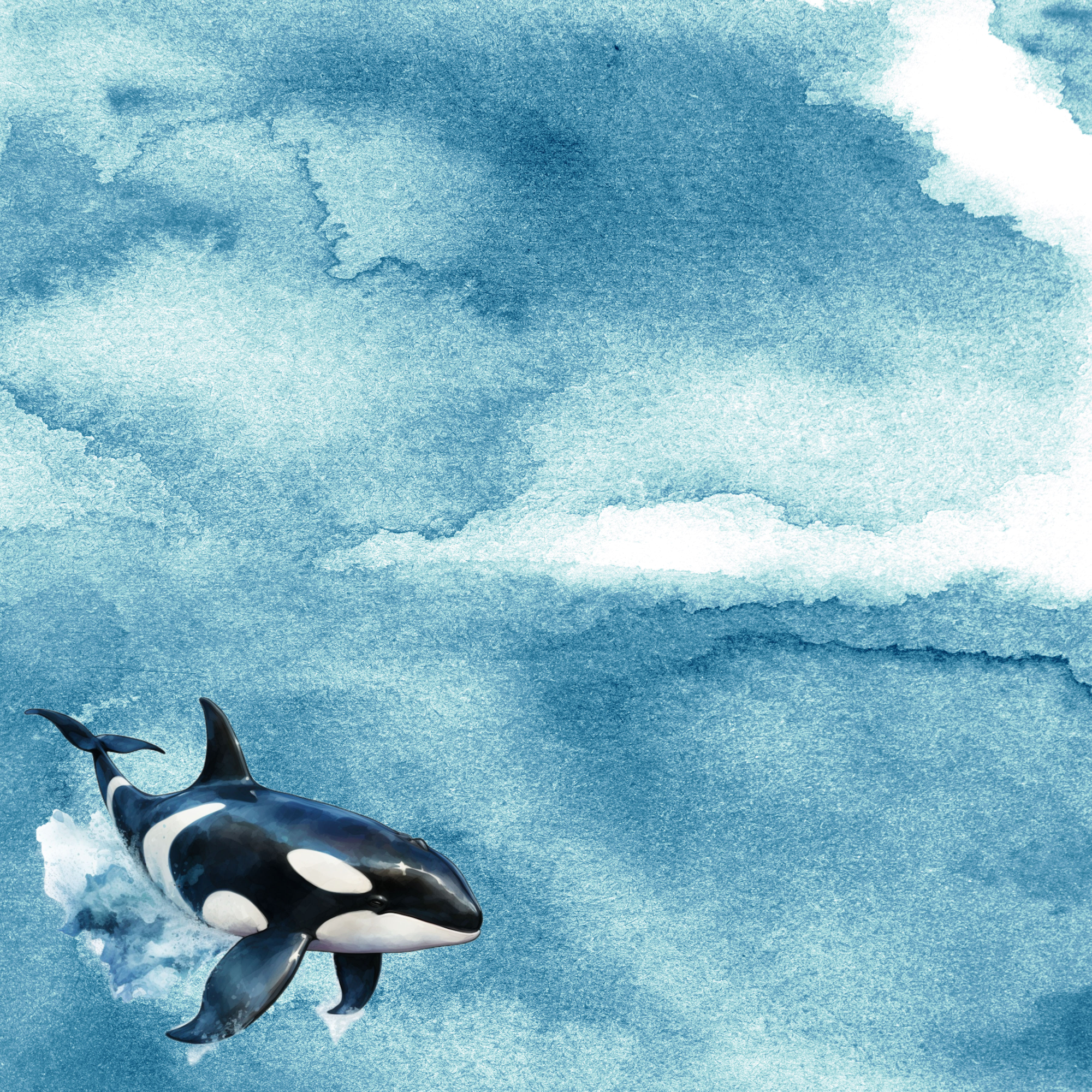 Watercolor Wildlife Collection Orca Killer Whale 12 x 12 Double-Sided Scrapbook Paper by SSC Designs