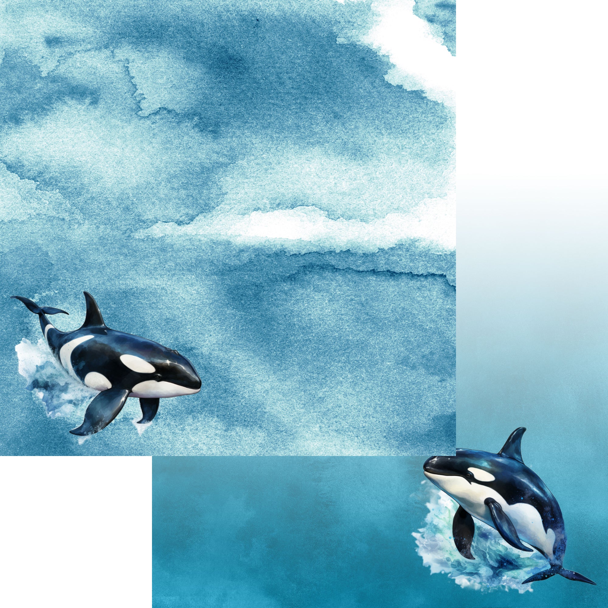 Watercolor Wildlife Collection Orca Killer Whale 12 x 12 Double-Sided Scrapbook Paper by SSC Designs