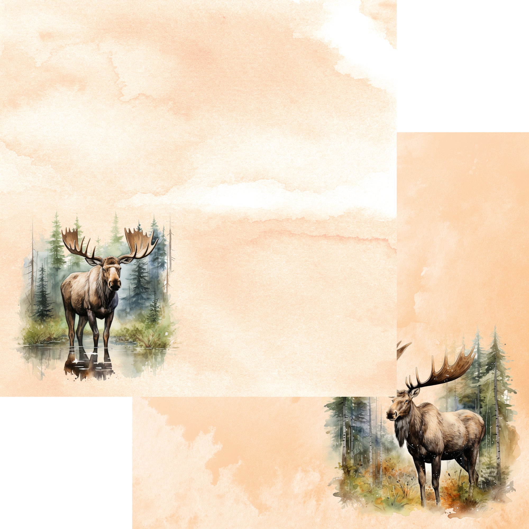 Watercolor Wildlife Collection Moose 12 x 12 Double-Sided Scrapbook Paper by SSC Designs