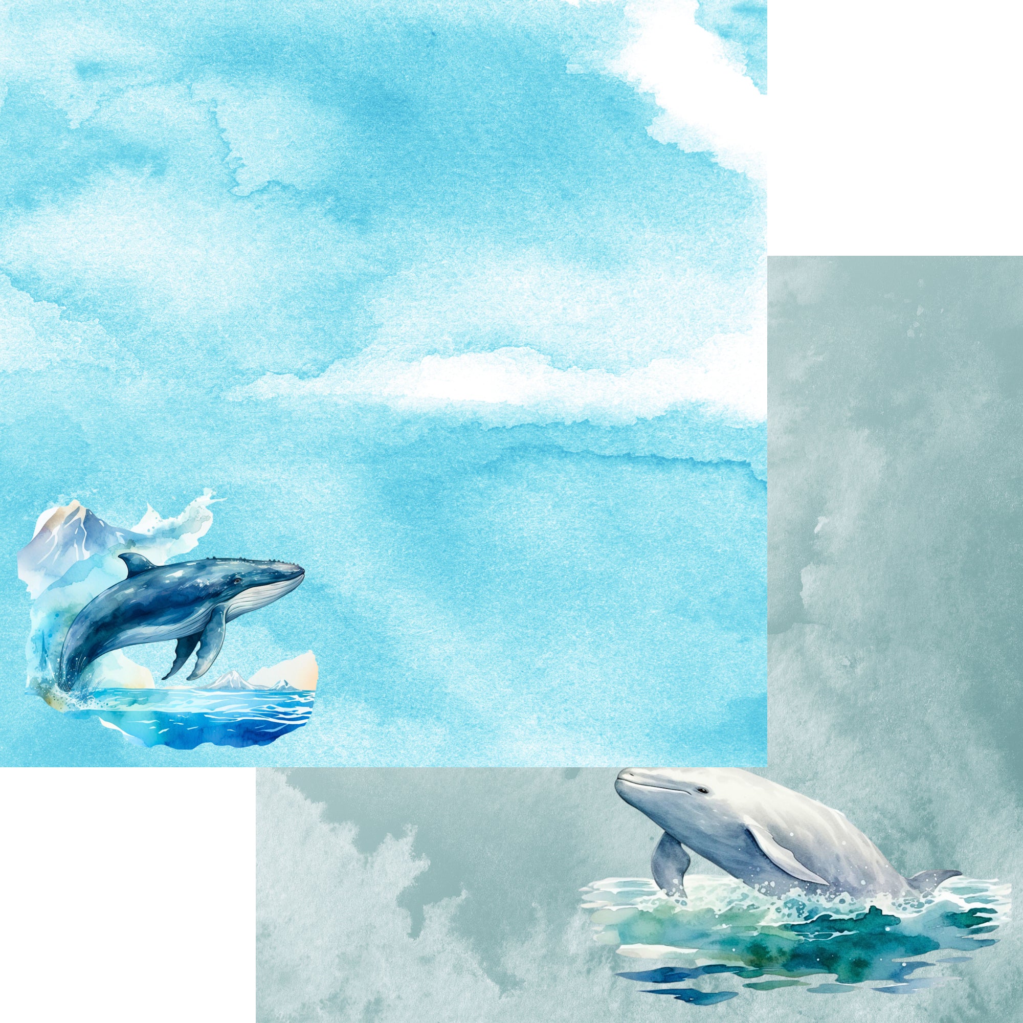 Watercolor Wildlife Collection Humpback & Beluga Whales 12 x 12 Double-Sided Scrapbook Paper by SSC Designs