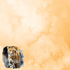 Watercolor Wildlife Collection Cheetah 12 x 12 Double-Sided Scrapbook Paper by SSC Designs