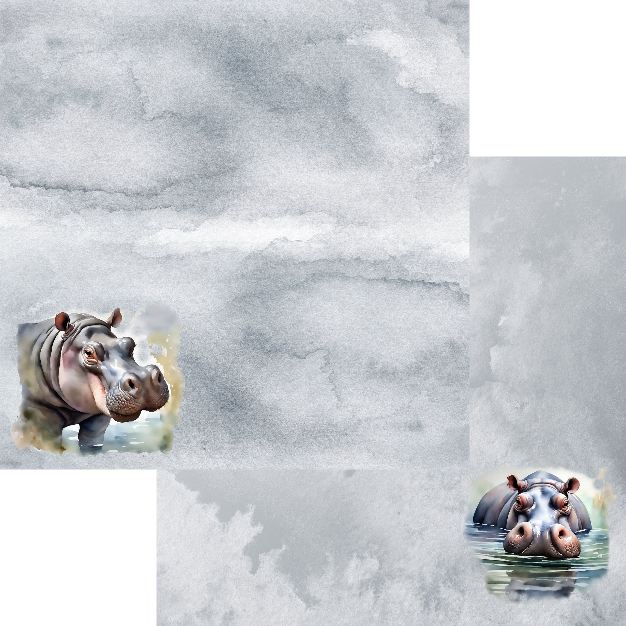 Watercolor Wildlife Collection Hippopotamus 12 x 12 Double-Sided Scrapbook Paper by SSC Designs