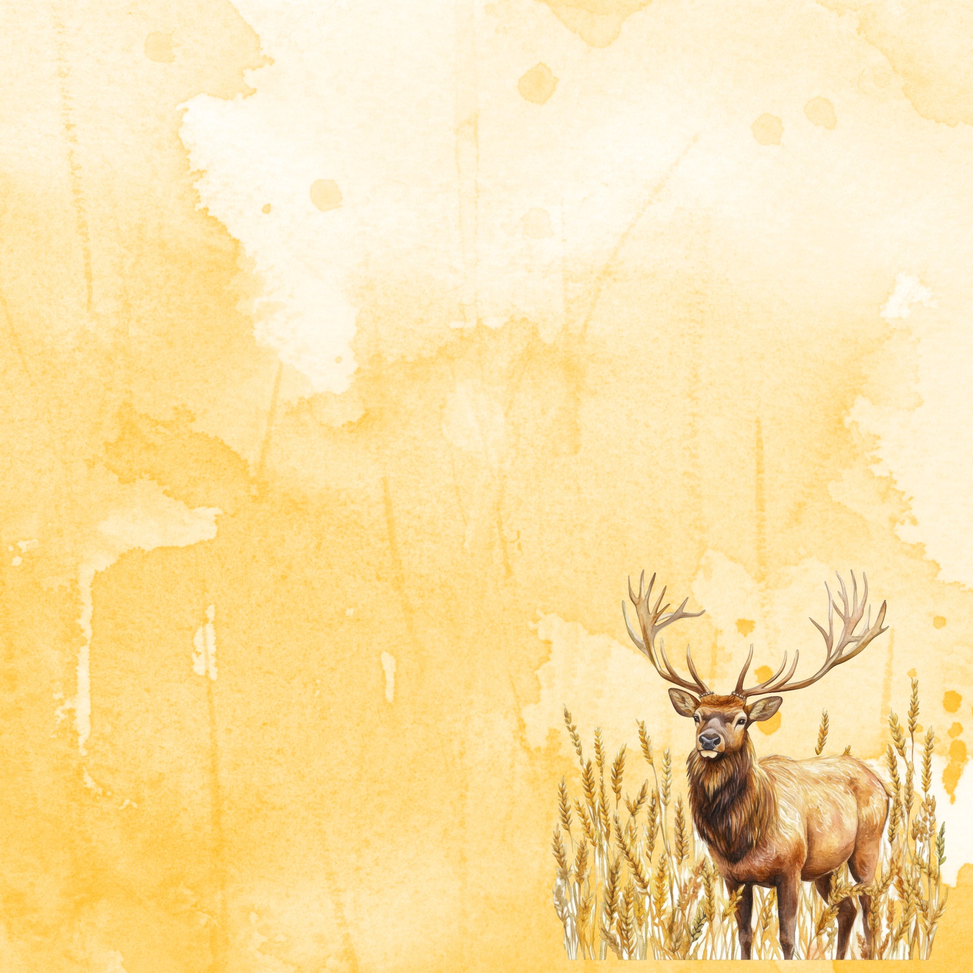 Watercolor Wildlife Collection Elk 12 x 12 Double-Sided Scrapbook Paper by SSC Designs