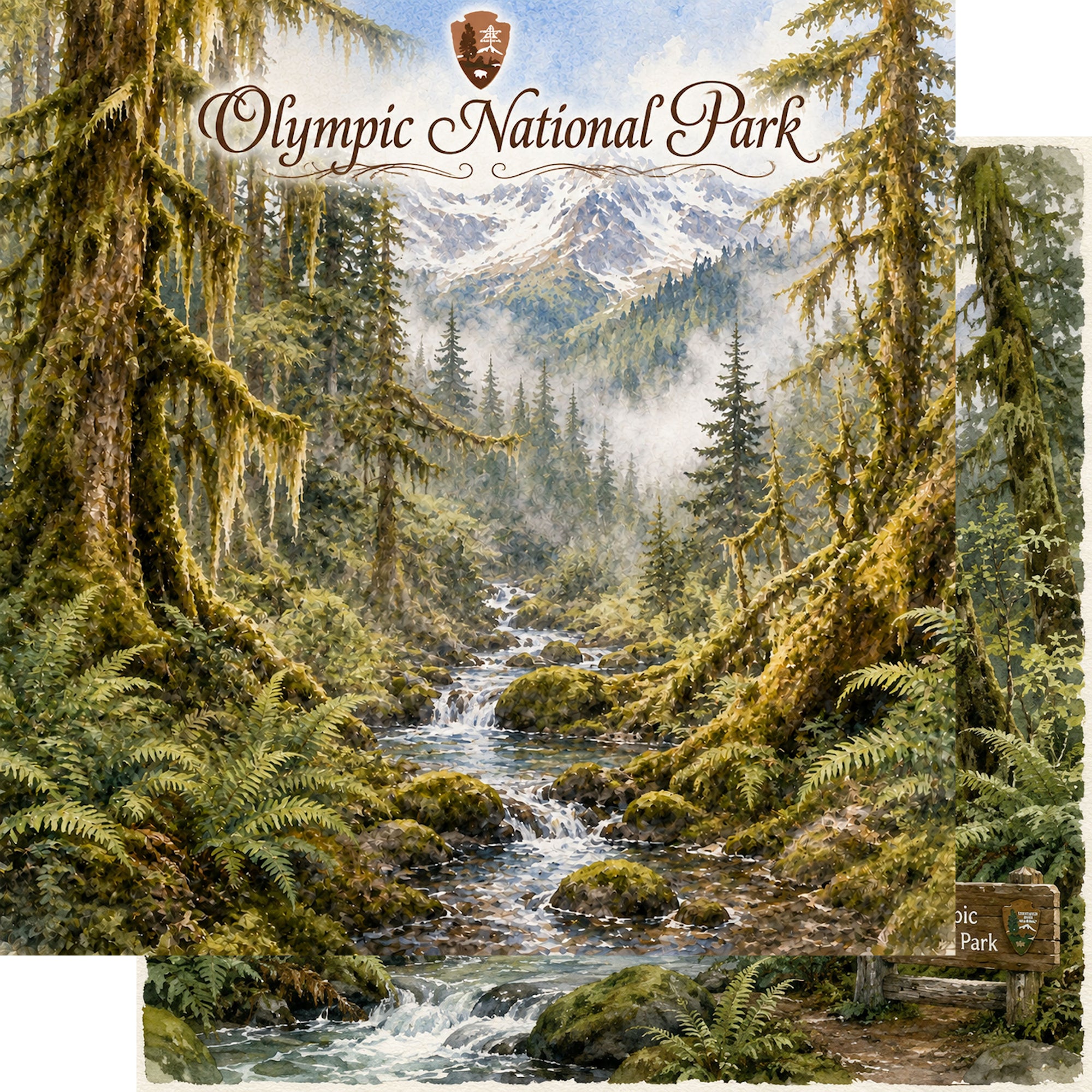 Watercolor National Parks Collection Olympic National Park 12 x 12 Double-Sided Scrapbook Paper by SSC Designs