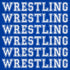 Male Wrestling Collection Wrestling Love 12 x 12 Double-Sided Scrapbook Paper by SSC Designs