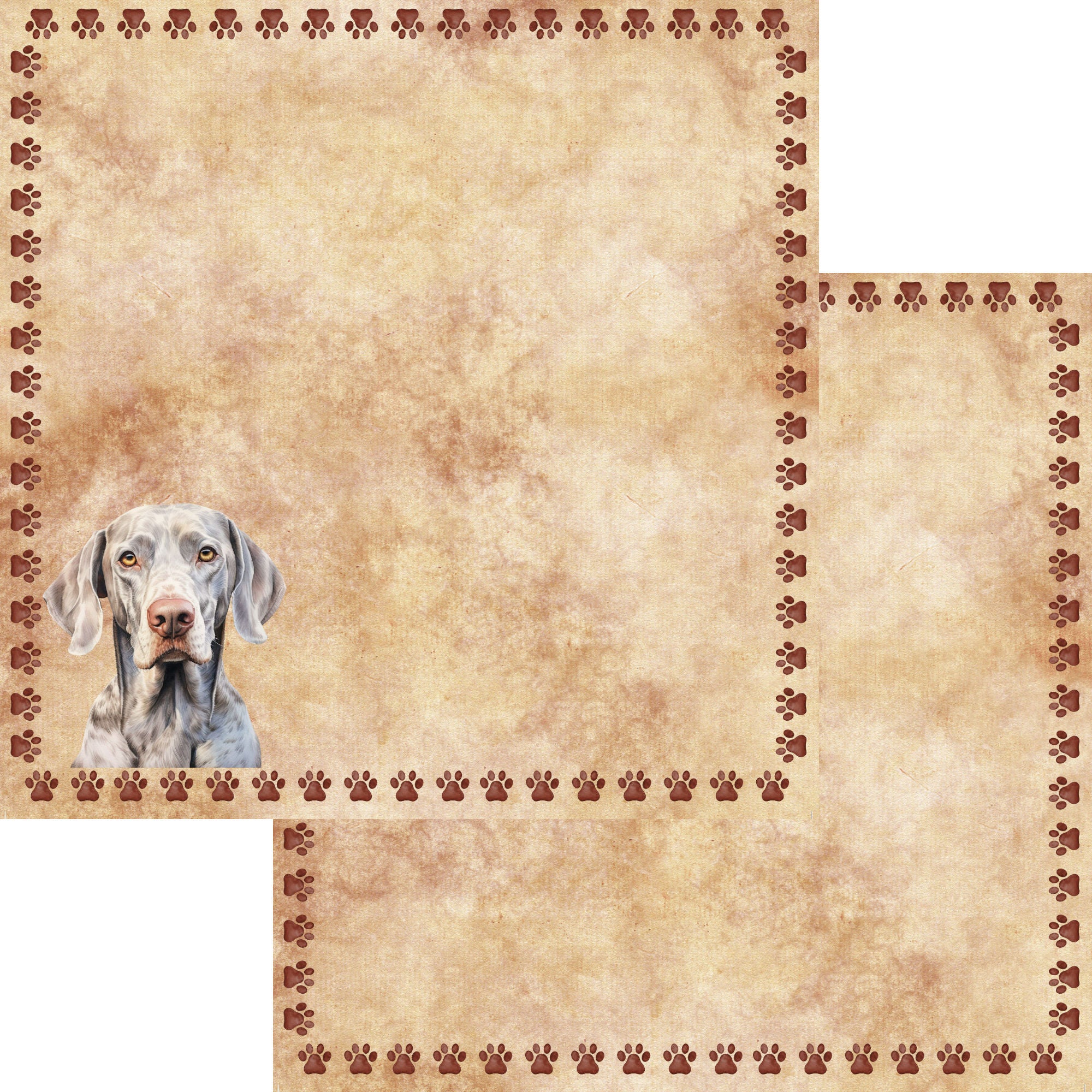 Dog Breeds Collection Weimaraner 12 x 12 Double-Sided Scrapbook Paper by SSC Designs