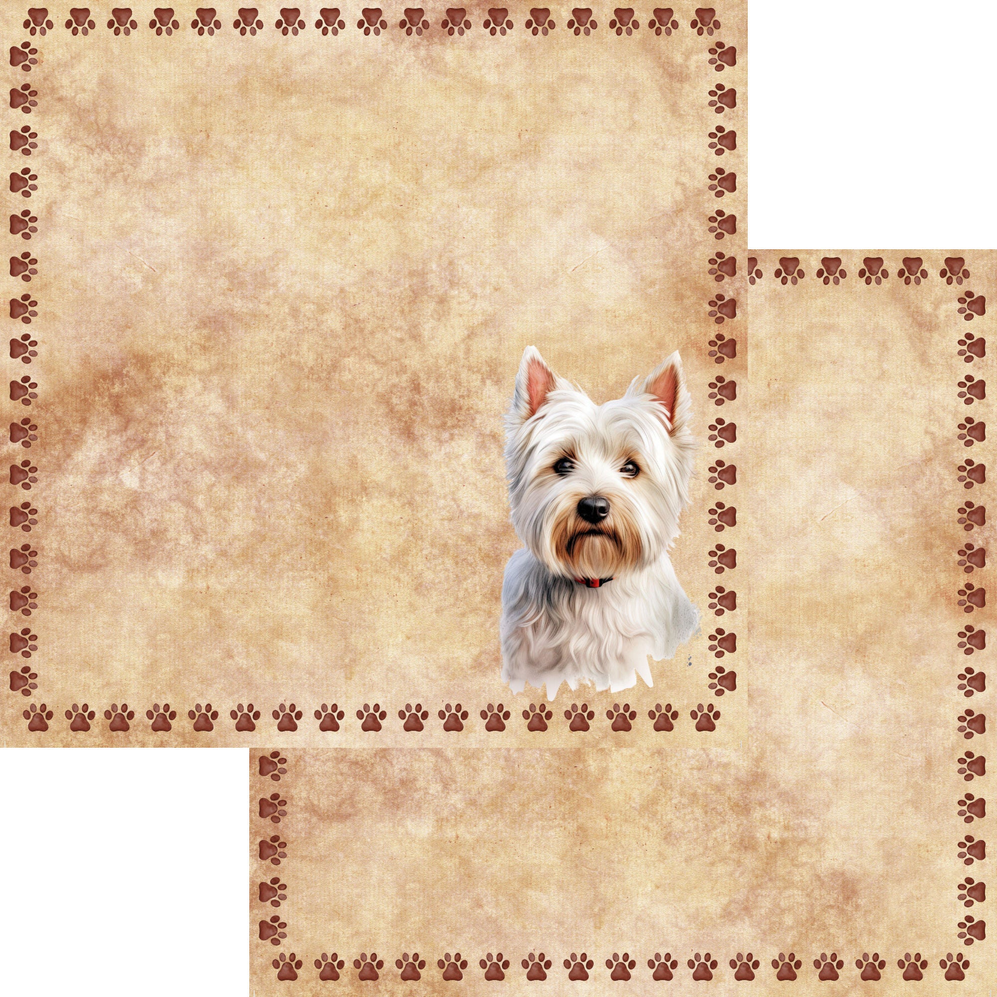 Dog Breeds Collection West Highland White Terrier 12 x 12 Double-Sided Scrapbook Paper by SSC Designs