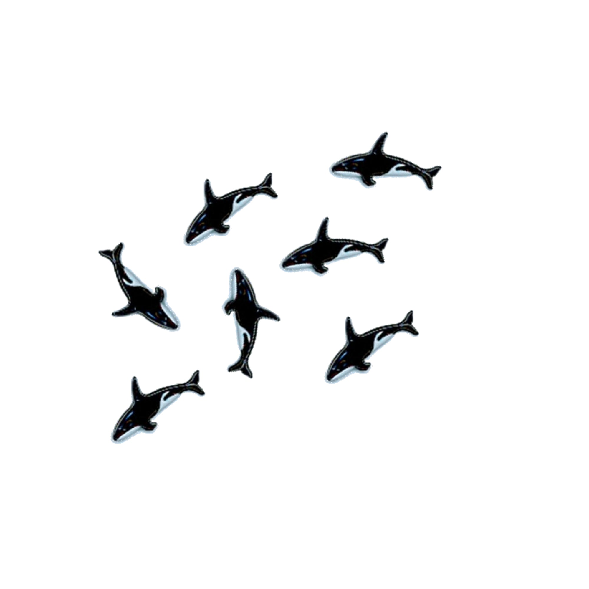 Alaska Collection Orca Whale Watching Scrapbook Brads by Eyelet Outlet - Pkg. of 12