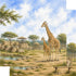 Zoo Adventures Collection Giraffe Encounters 12 x 12 Double-Sided Scrapbook Paper by SSC Designs