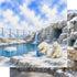 Zoo Adventures Collection Polar Bear Plunge 12 x 12 Double-Sided Scrapbook Paper by SSC Designs