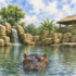 Zoo Adventures Collection Hippo Haven 12 x 12 Double-Sided Scrapbook Paper by SSC Designs