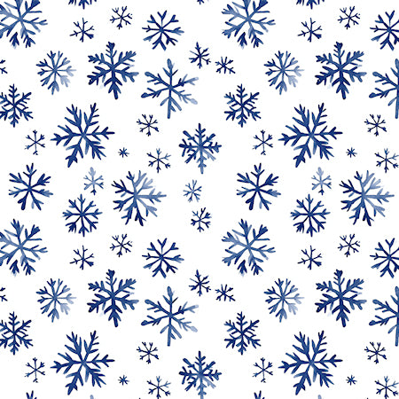 Cardmaker's Collection Country Winter 4.25 x 5.5 Pre-Cut Card Fronts by SSC Designs - 24 Pack