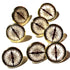Earning Badges Collection Compass Scrapbook Brads by Eyelet Outlet - Pkg. of 12