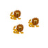Dress It Up Collection Looney Lion Scrapbook Button Embellishments